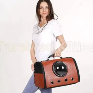 Travel Carrier